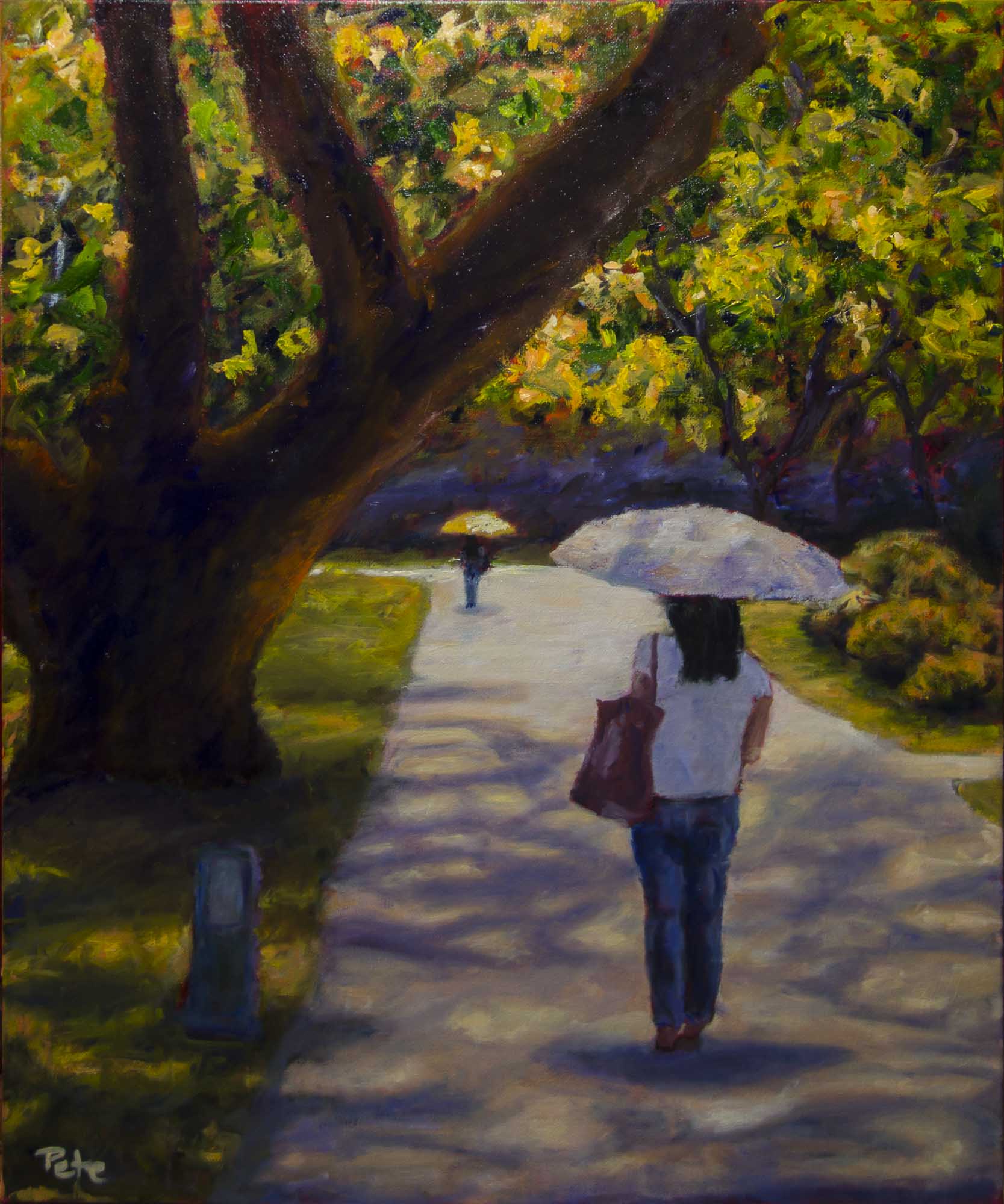 Umbrellas in the Park II